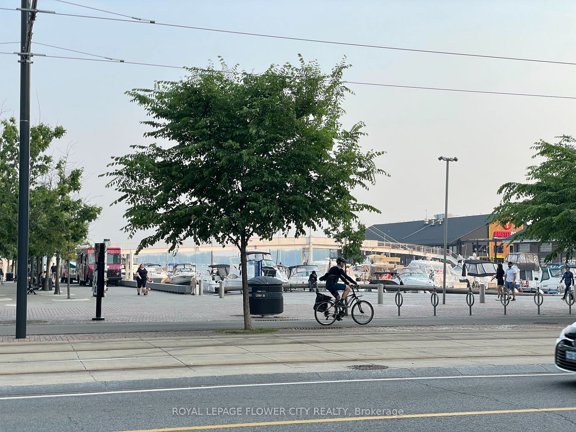 228 Queens Quay W, #801