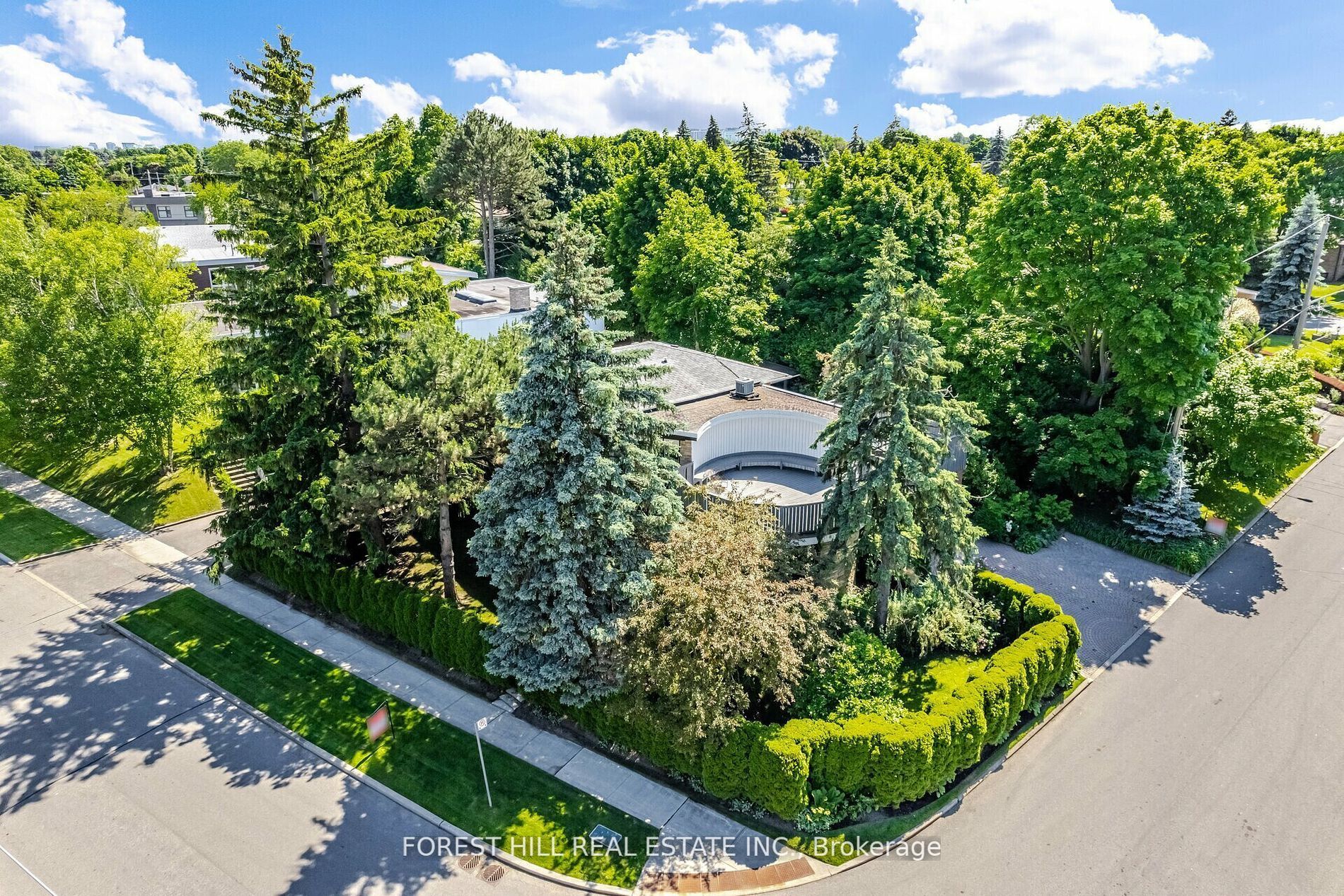 65 Blue Forest Dr