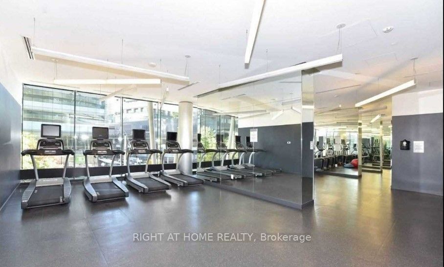 14 York Street #3502
