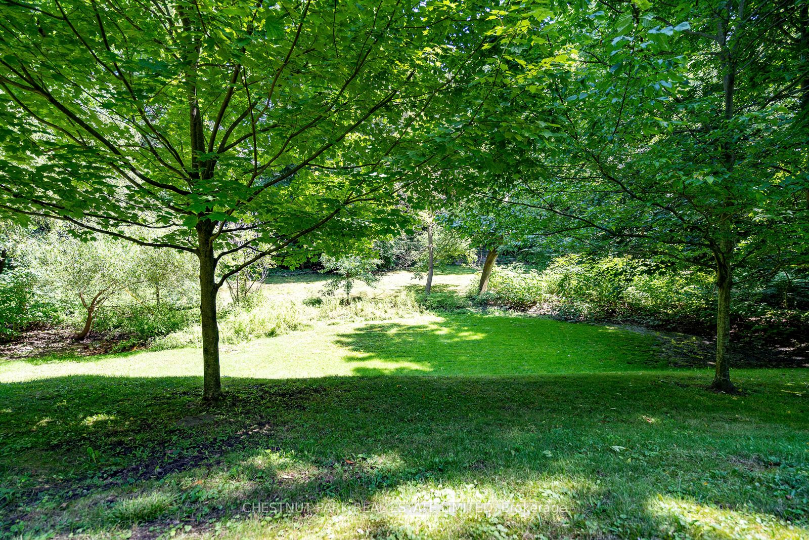 31 Rosedale Road #103