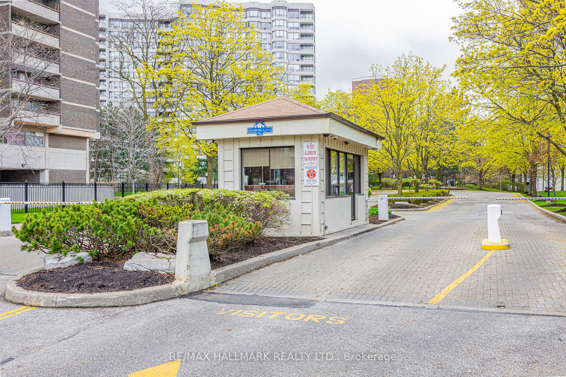 1101 Steeles Ave W, #Ph210