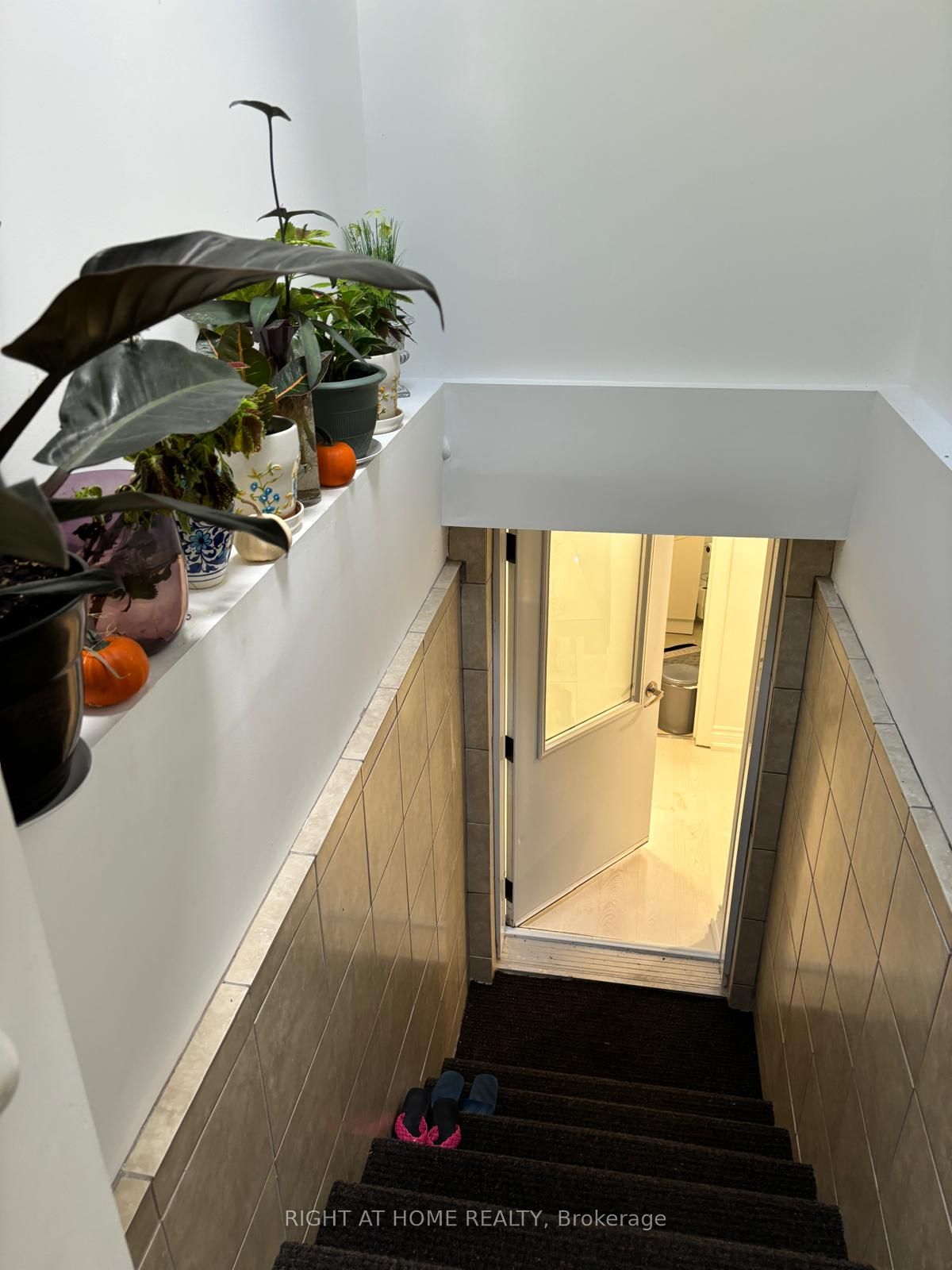 154 Davisville Ave, #Lower