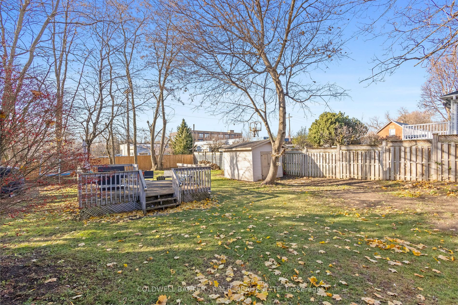 62 Scugog St