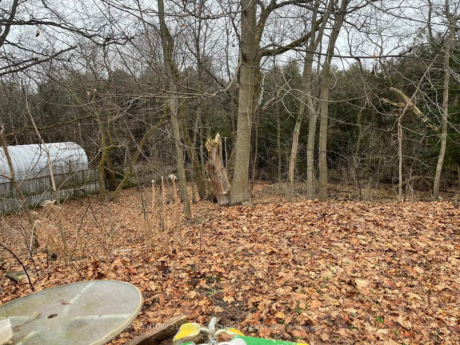 63 Jackman Rd