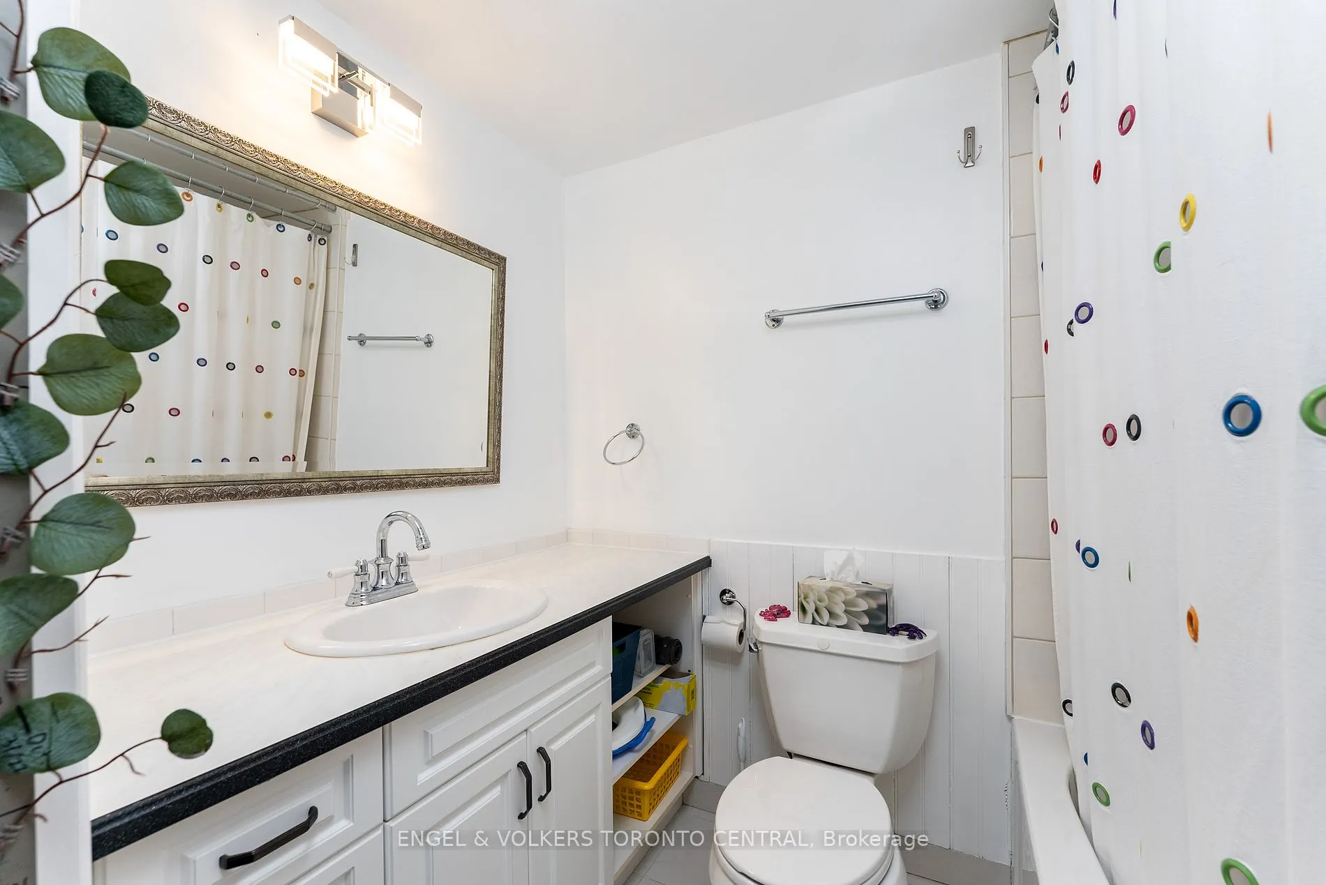 6 Cumberland Lane, #3