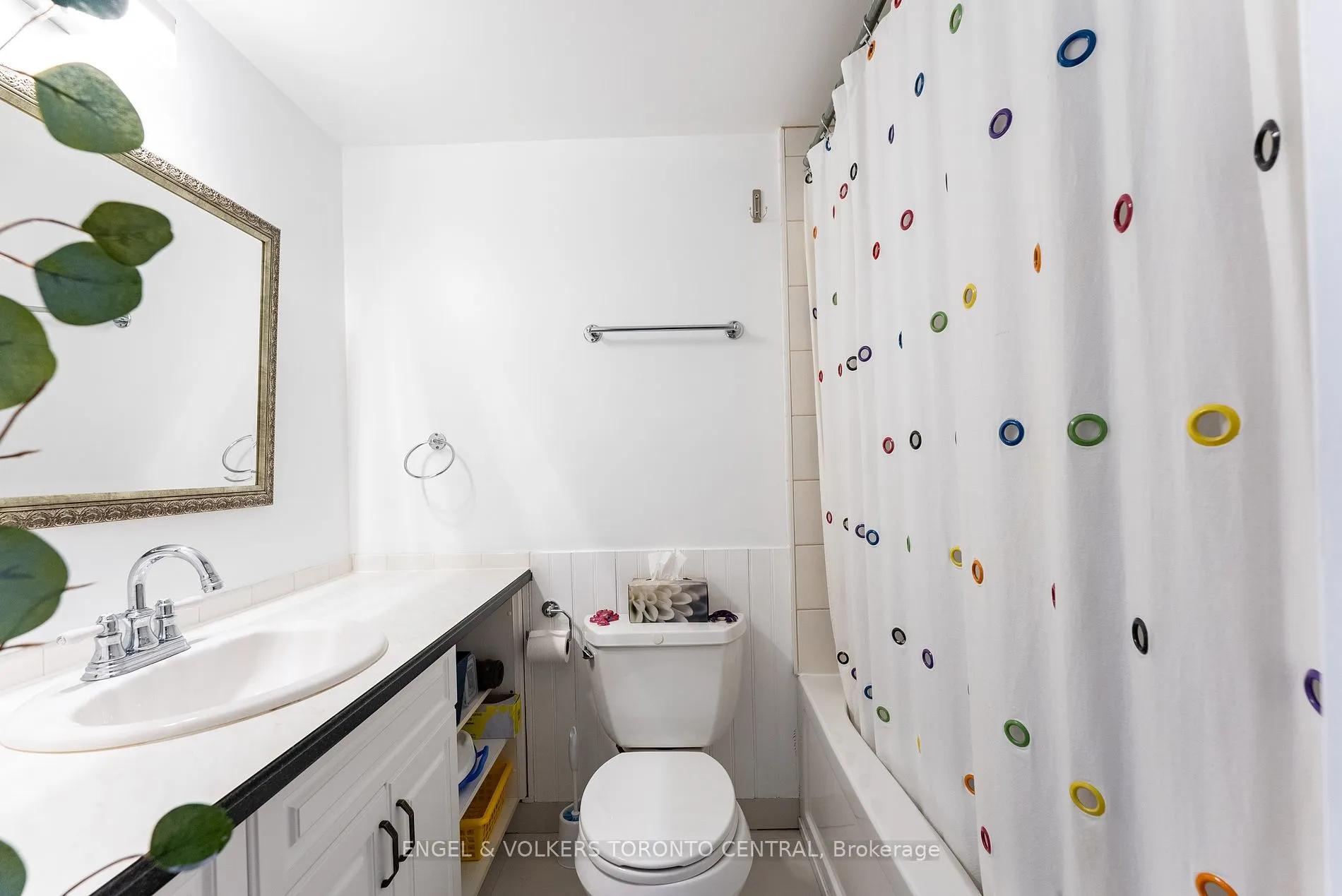 6 Cumberland Lane, #3