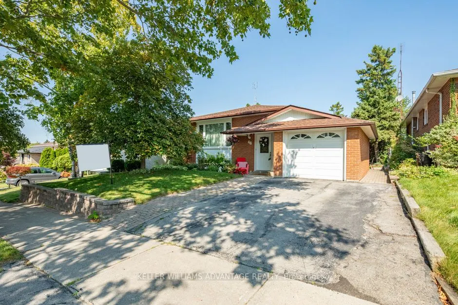 48 Angora St