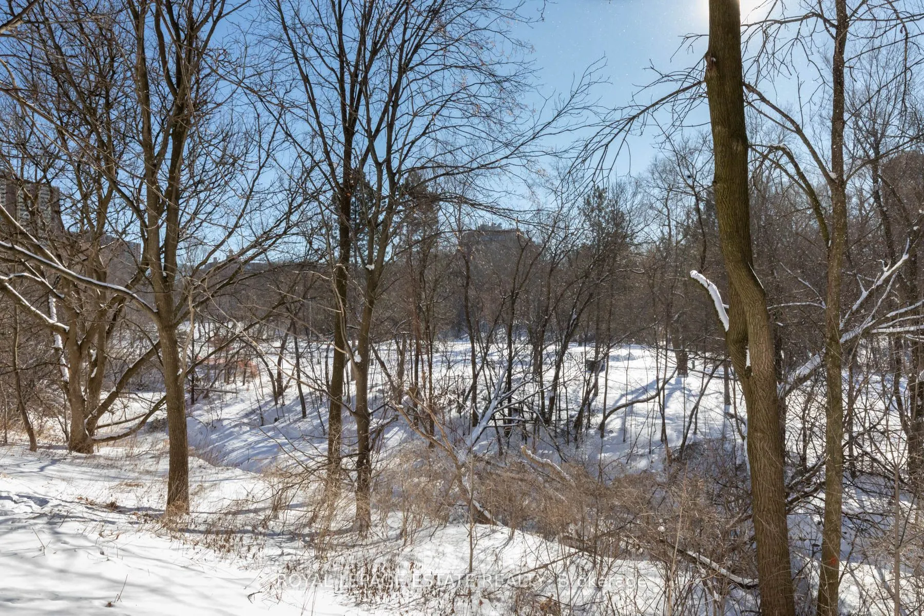 4 Park Vista Drive, #604