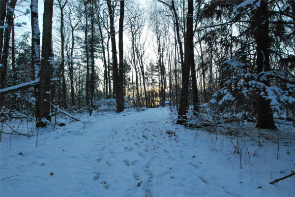 2053 Concession 10 Rd, Clarington