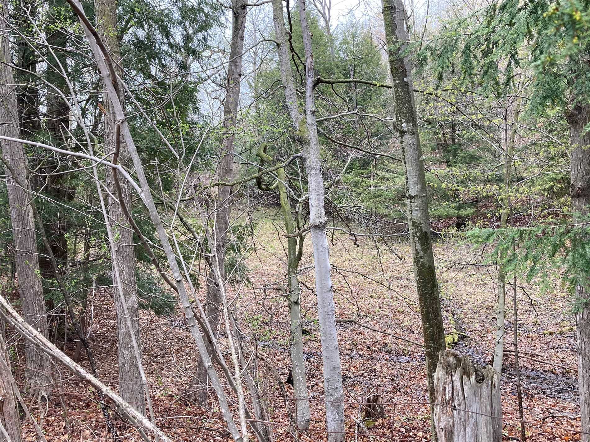 4475 Country Lane