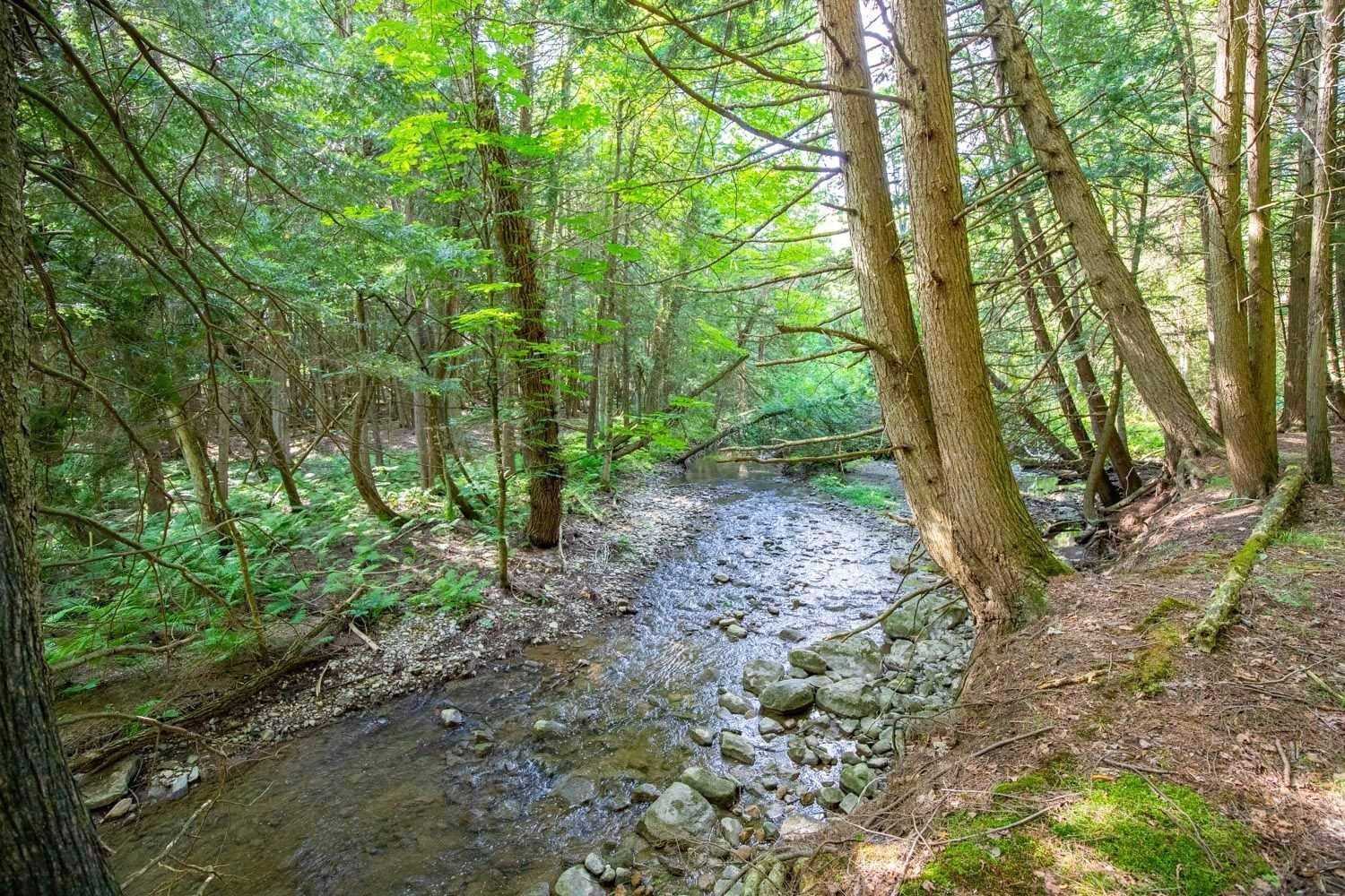 Listing E5270311 - Large Photo # 37