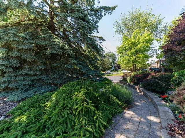 485 Maple Ave