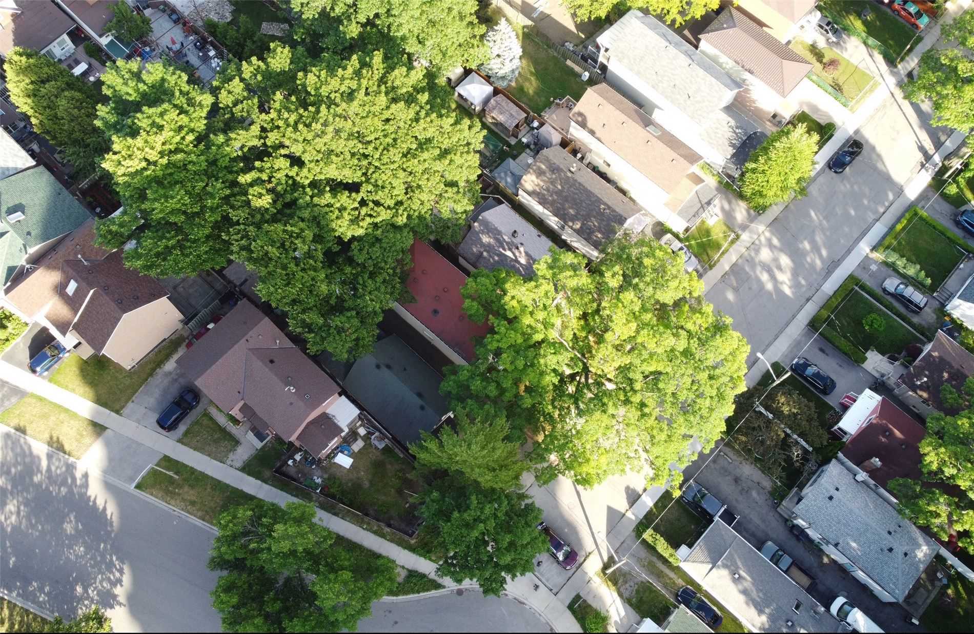 71 Mcdonald Ave