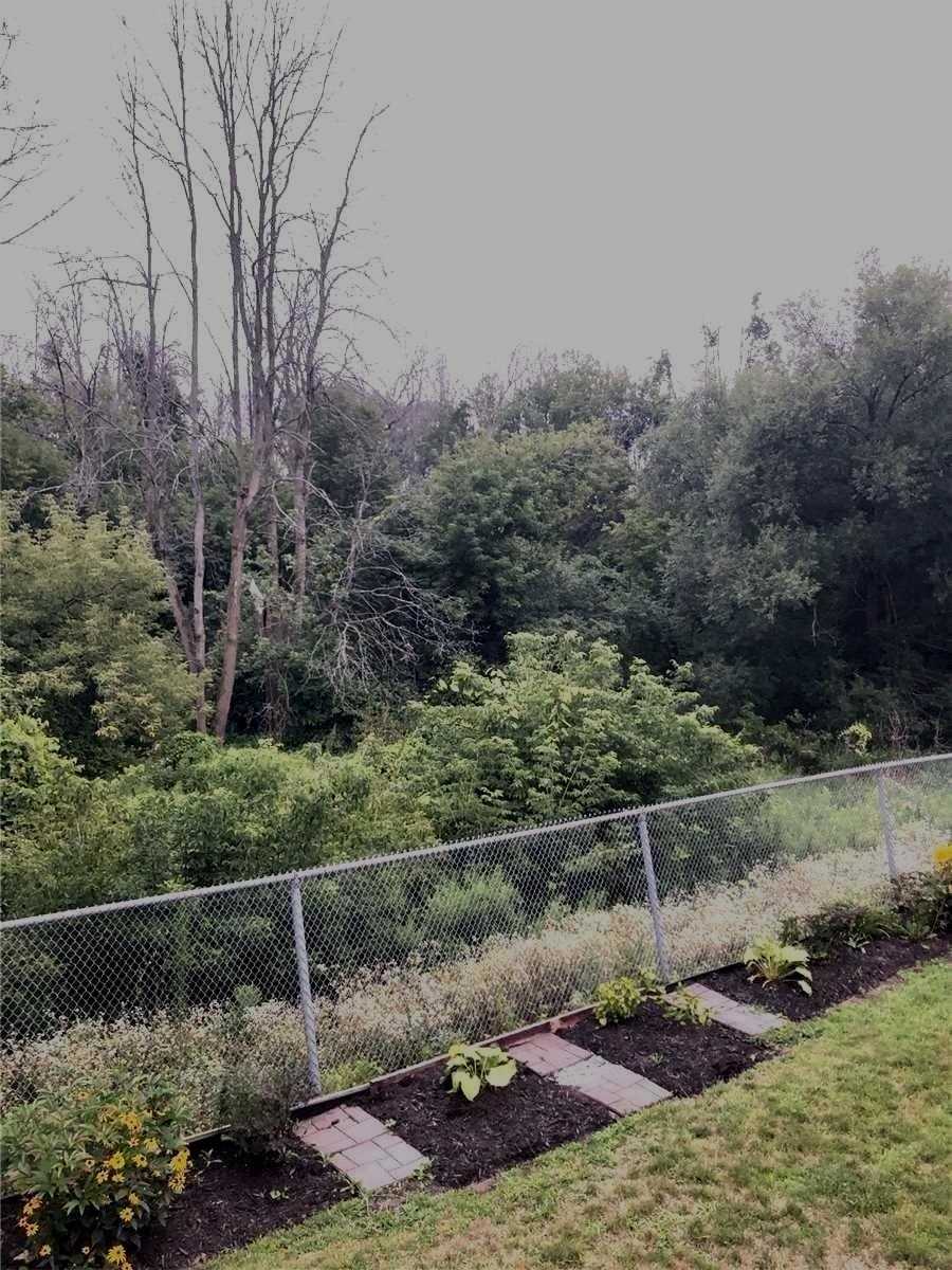 60 Cluett Dr