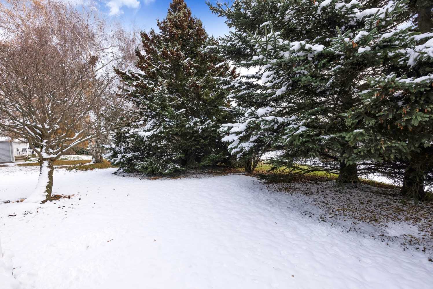 73 Wilmot Tr