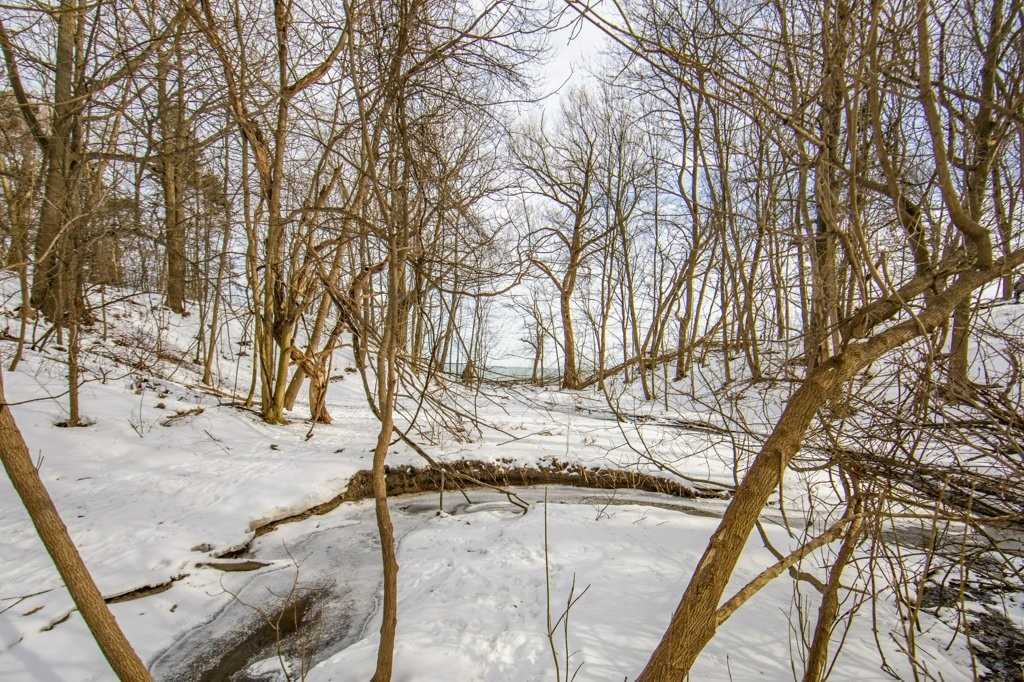 Listing E5519251 - Large Photo # 6