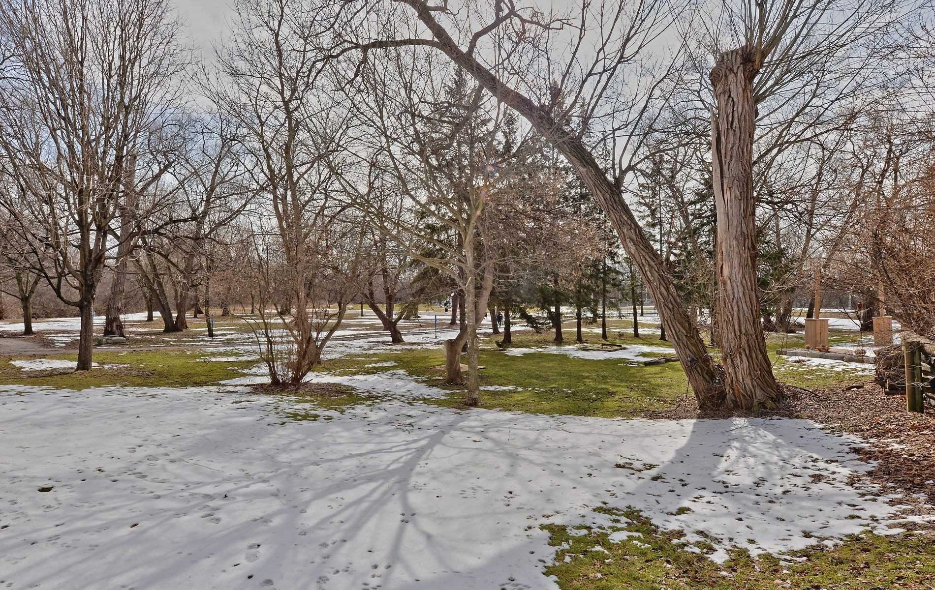 Listing E5542982 - Large Photo # 27