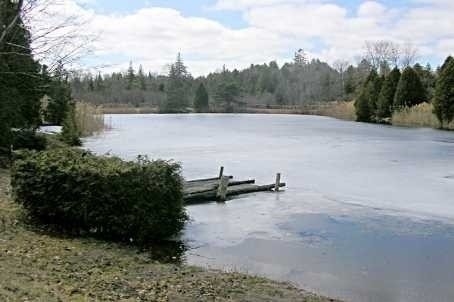 Listing E5544096 - Large Photo # 4