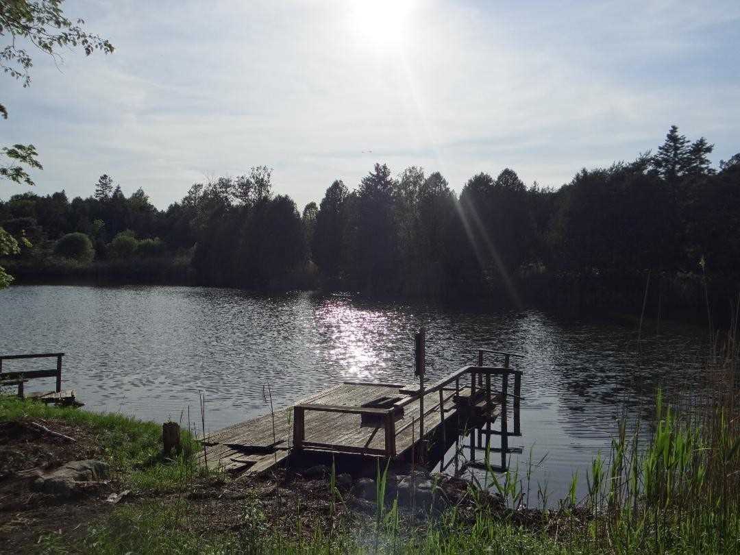 Listing E5544096 - Large Photo # 6