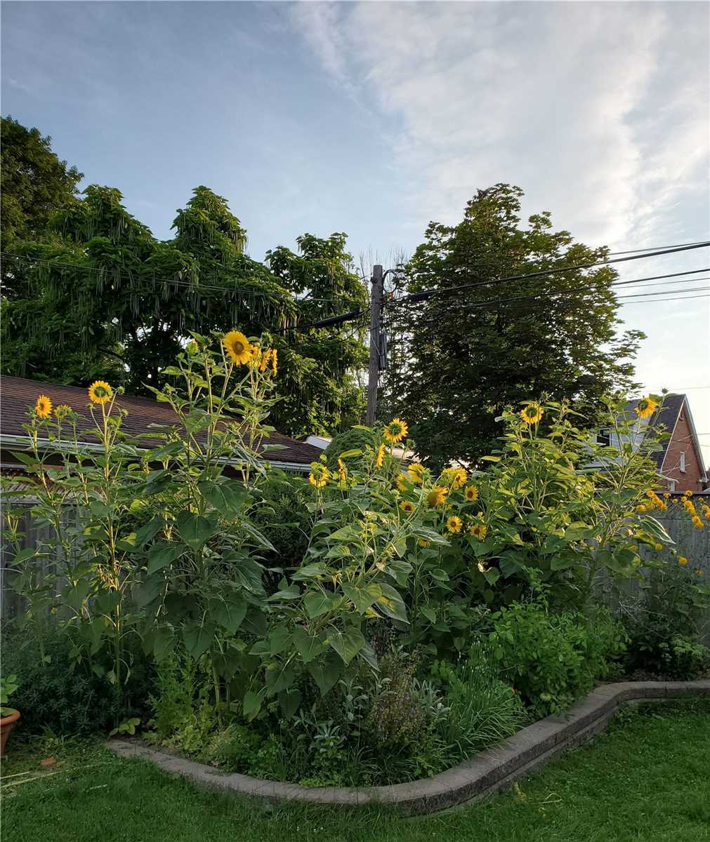 159 Cadillac Ave S