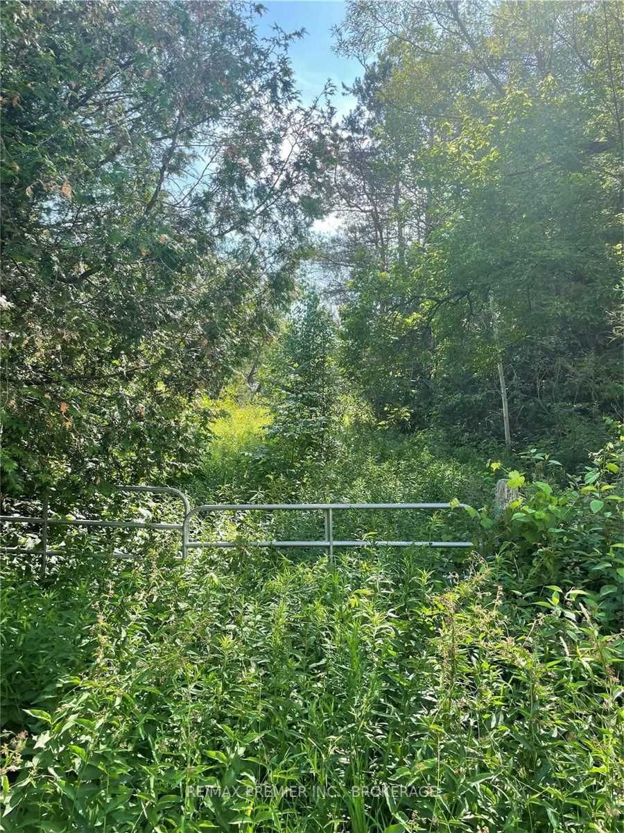 Listing E5681145 - Large Photo # 6