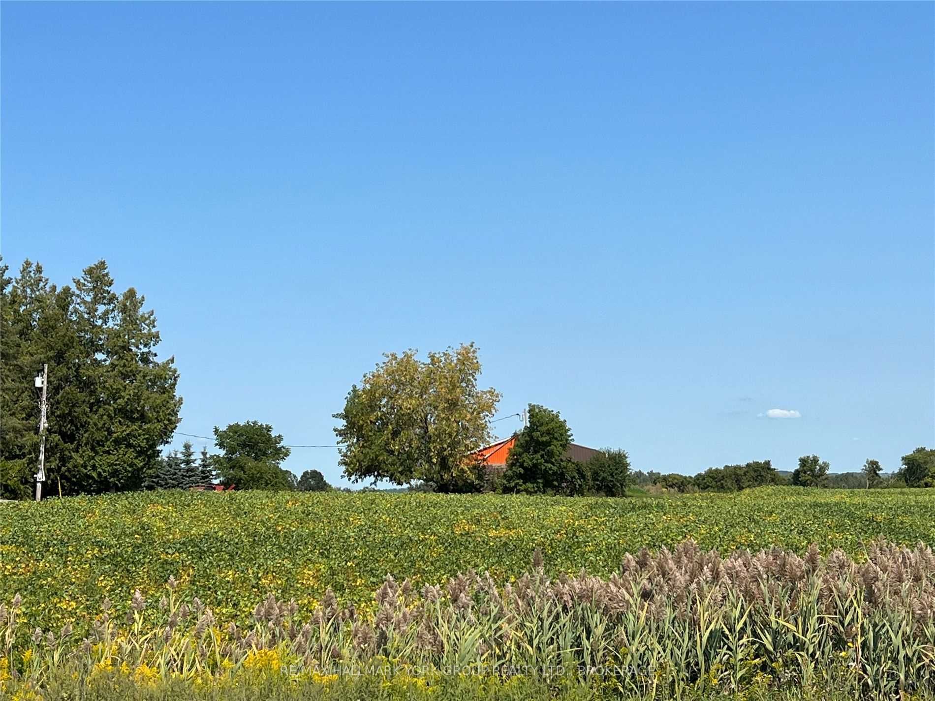 Listing E5712860 - Large Photo # 17