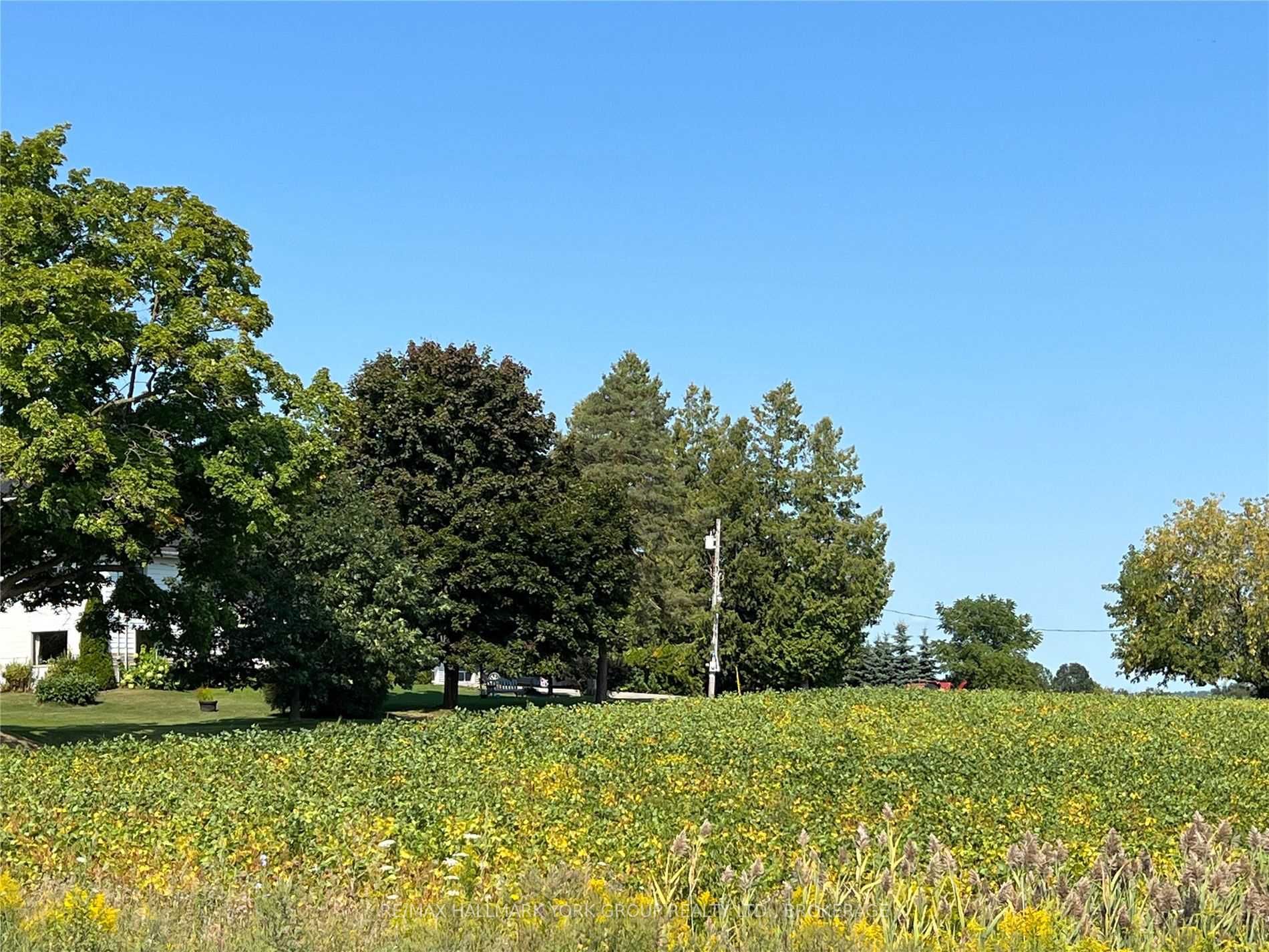 Listing E5712860 - Large Photo # 16