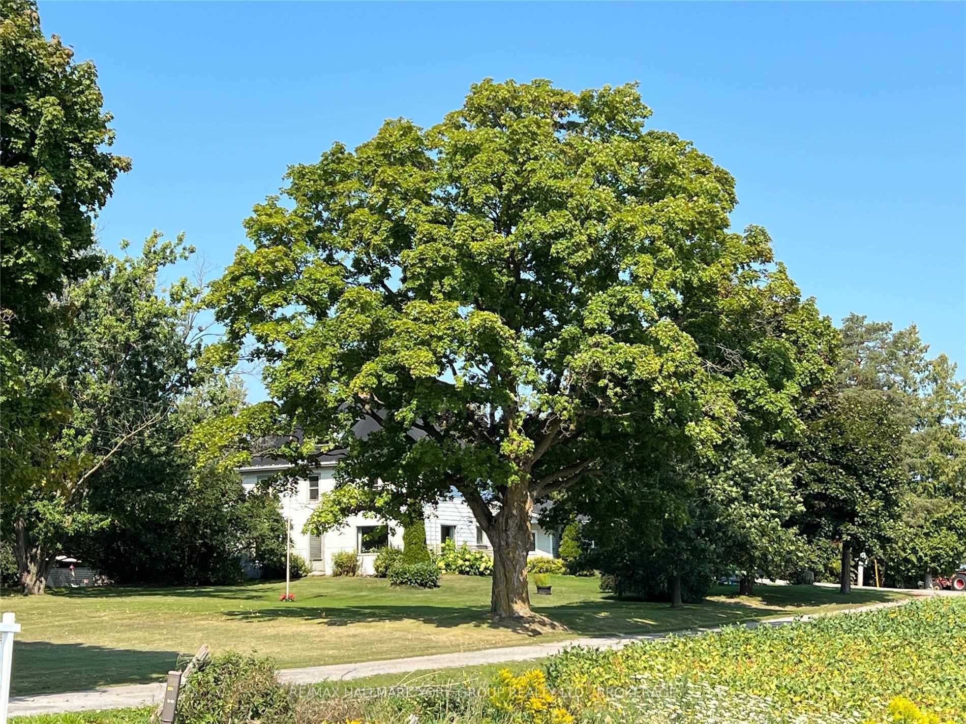 Listing E5712860 - Large Photo # 5