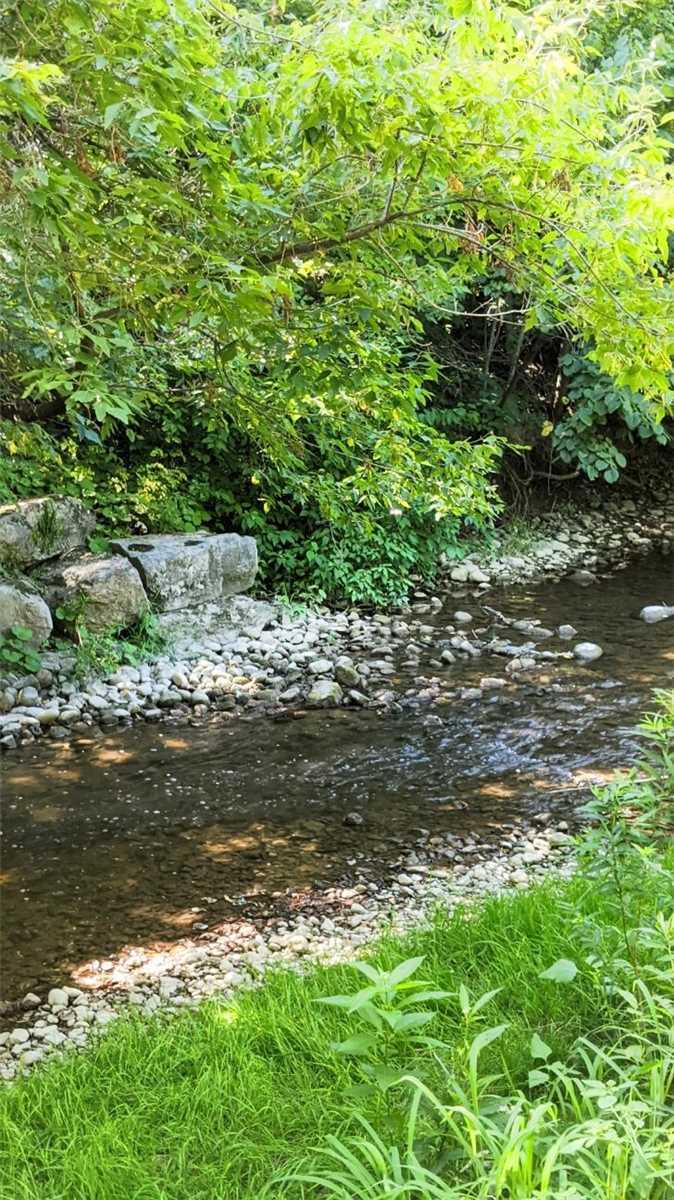 Listing E5735805 - Large Photo # 29