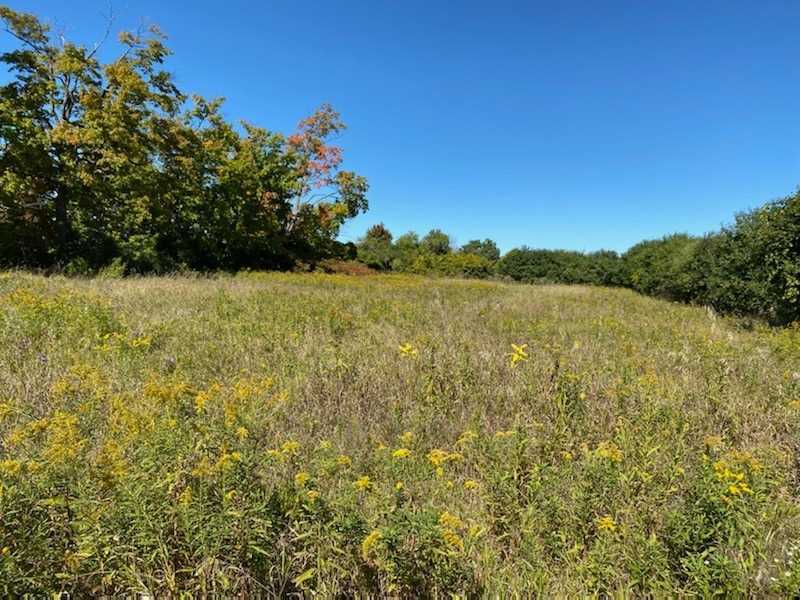 Listing E5783762 - Large Photo # 5