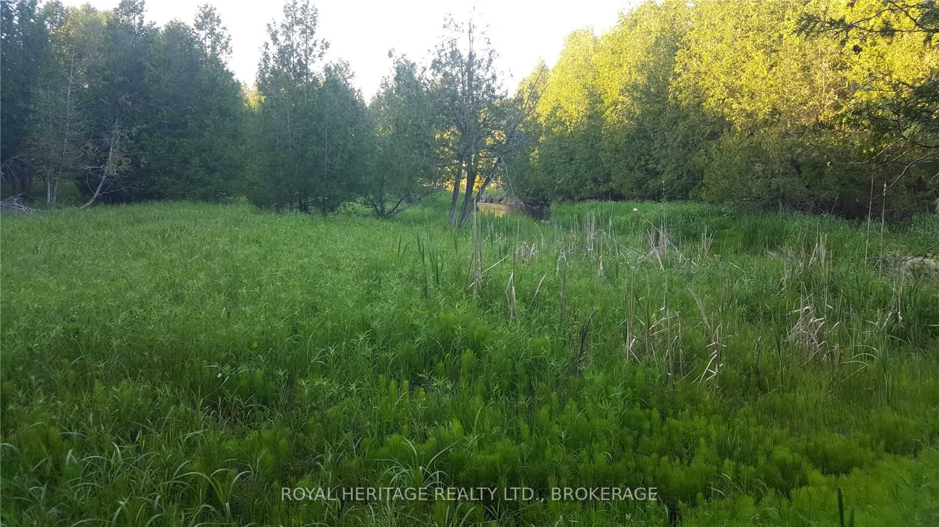Listing E5784789 - Large Photo # 3