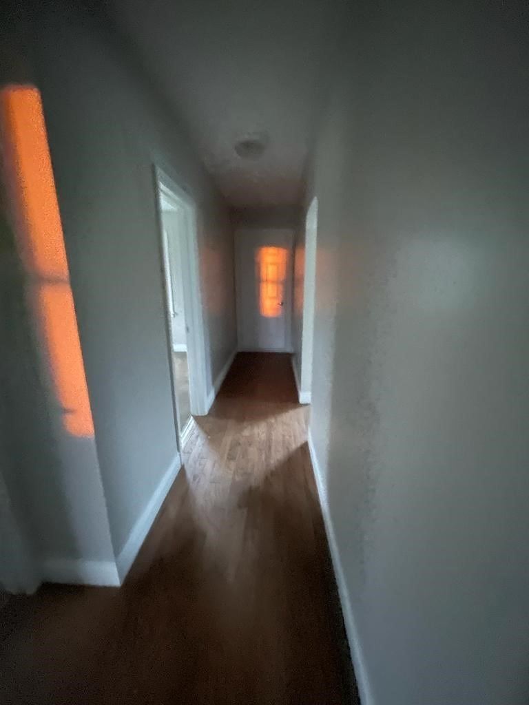 1184 Solina Rd