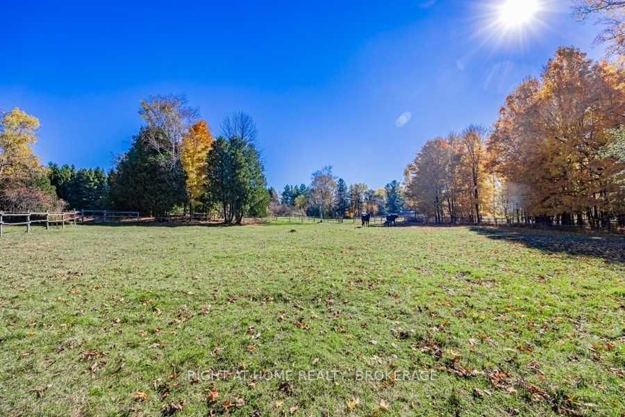 Listing E5805601 - Large Photo # 13