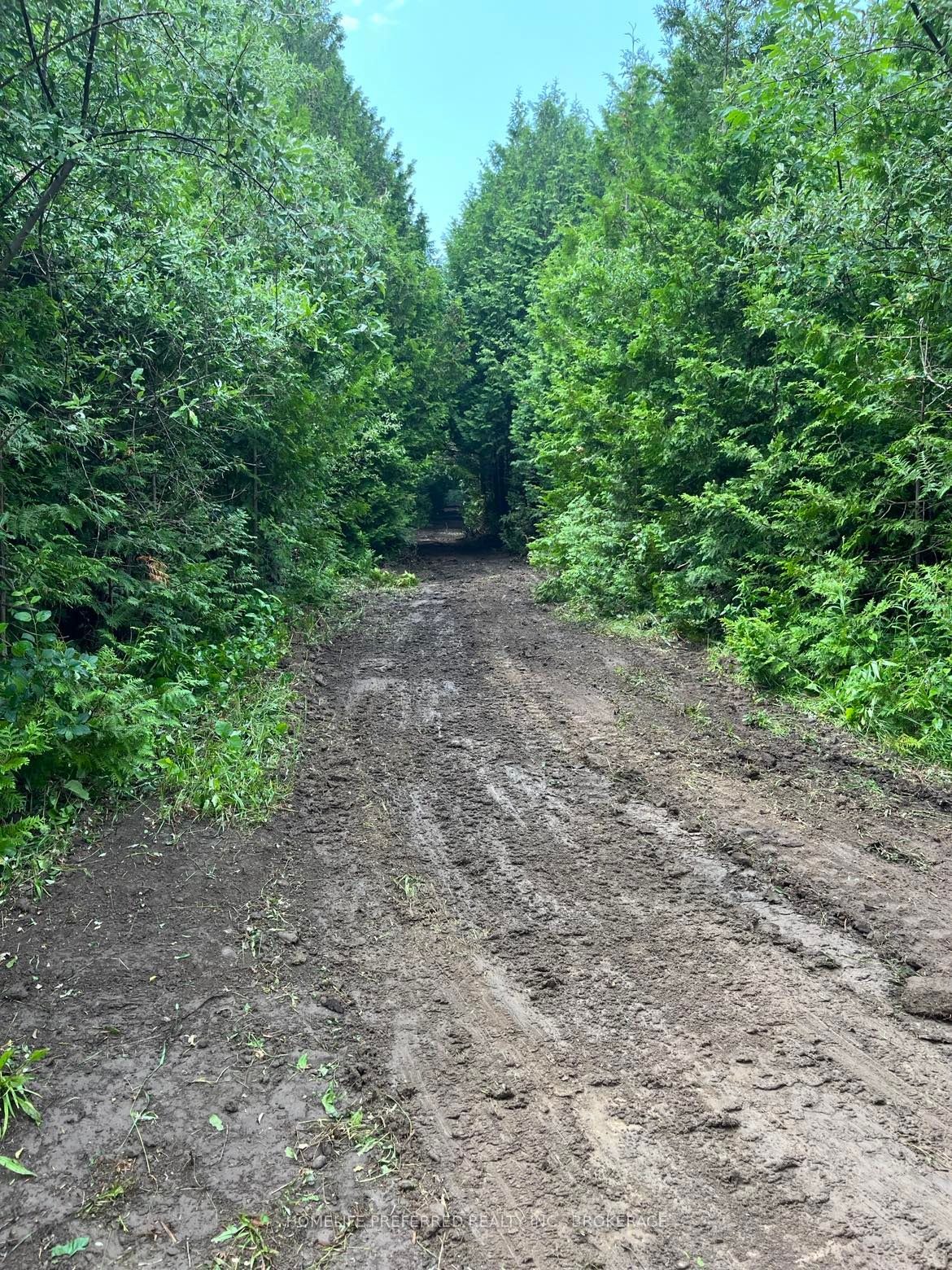0 Lakeshore Rd