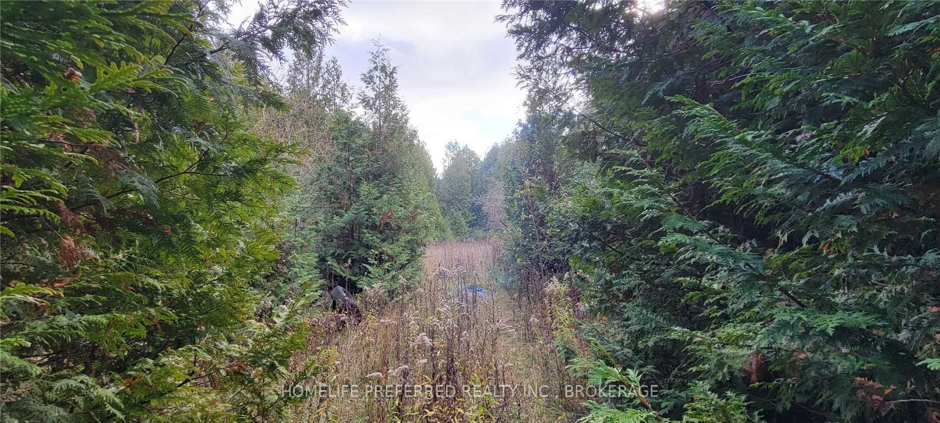 0 Lakeshore Rd