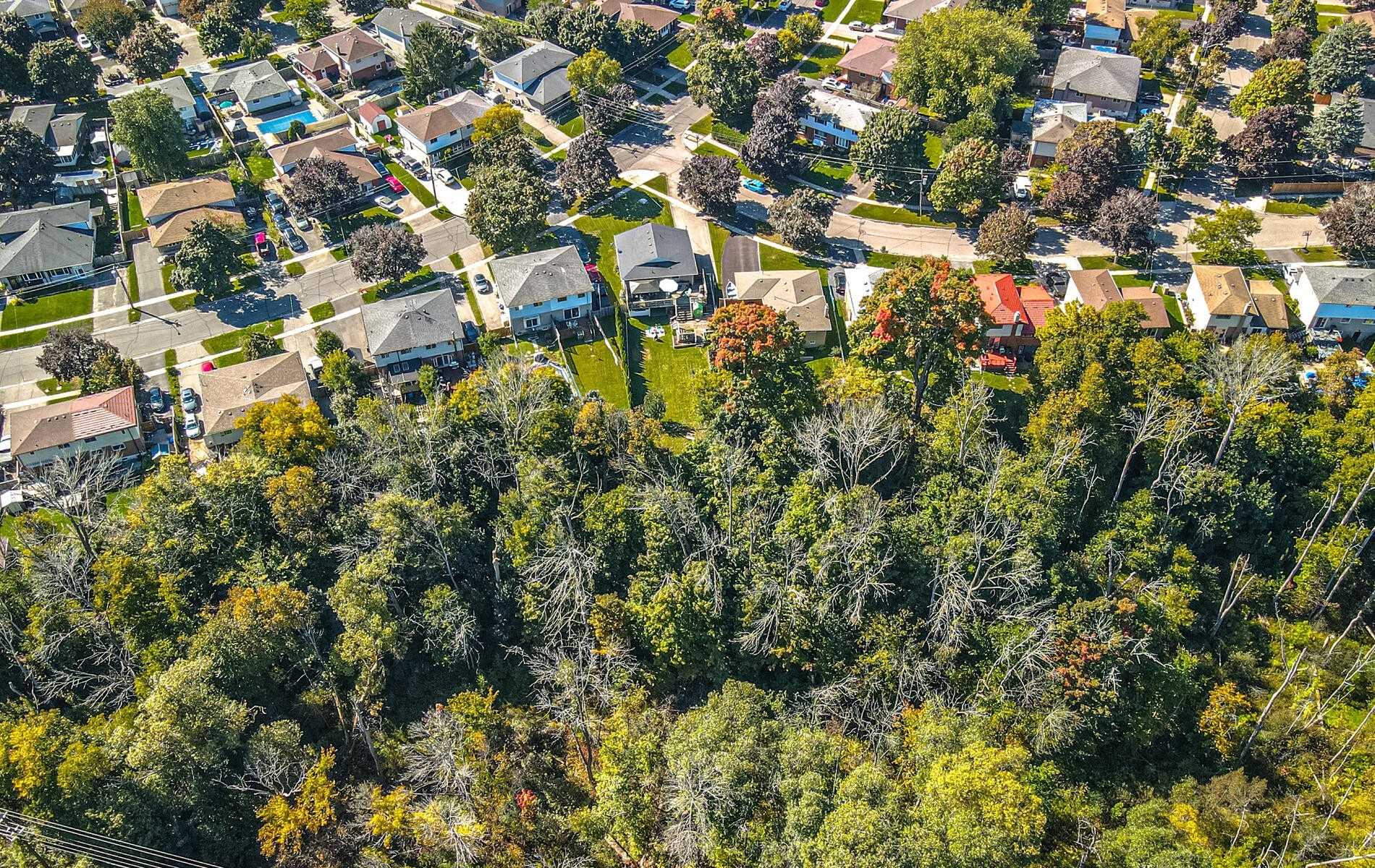 Listing E5824720 - Large Photo # 17