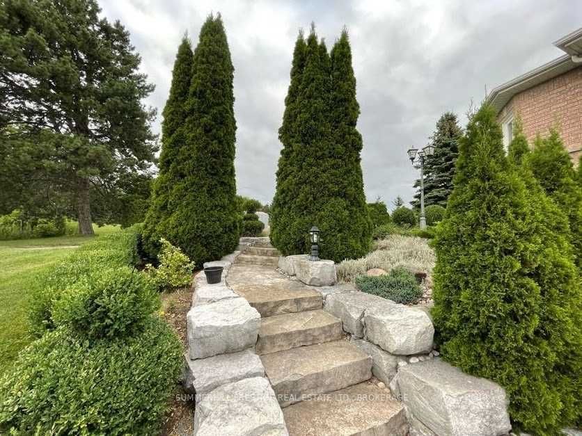 Listing E5865266 - Large Photo # 10