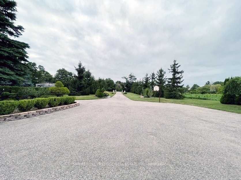 Listing E5865266 - Large Photo # 7