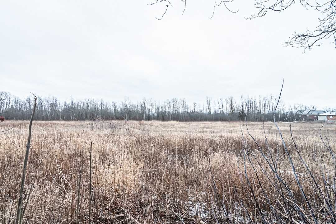 Listing E5866897 - Large Photo # 21