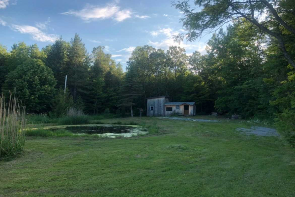 92 Waldweg, Scugog