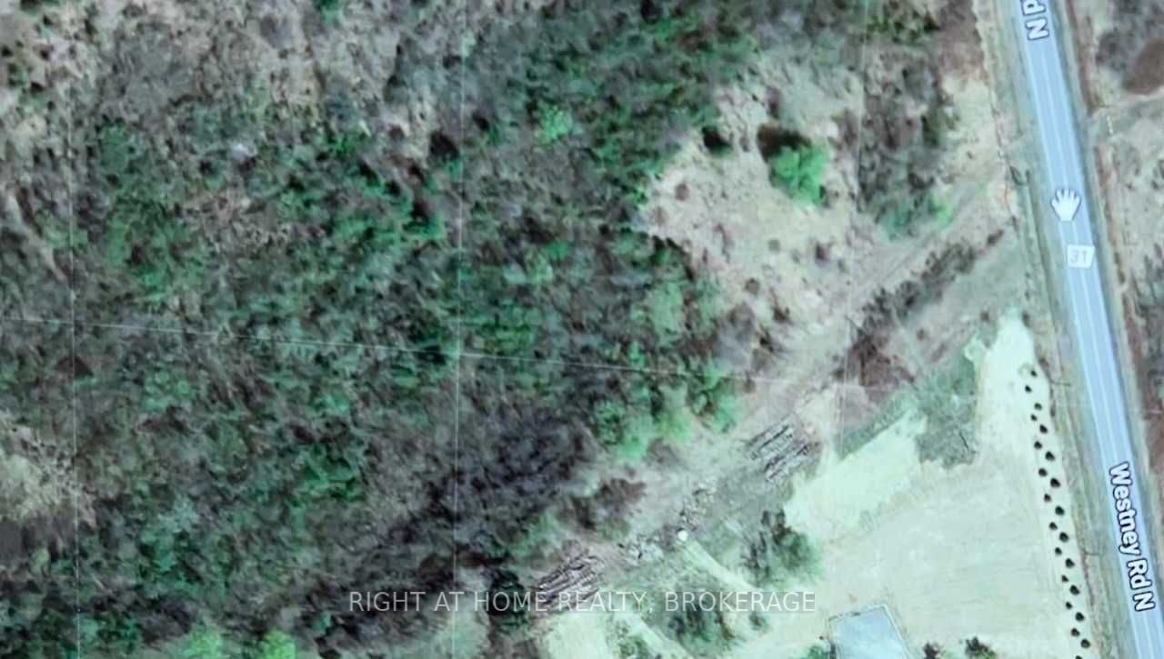 Listing E5887947 - Large Photo # 4