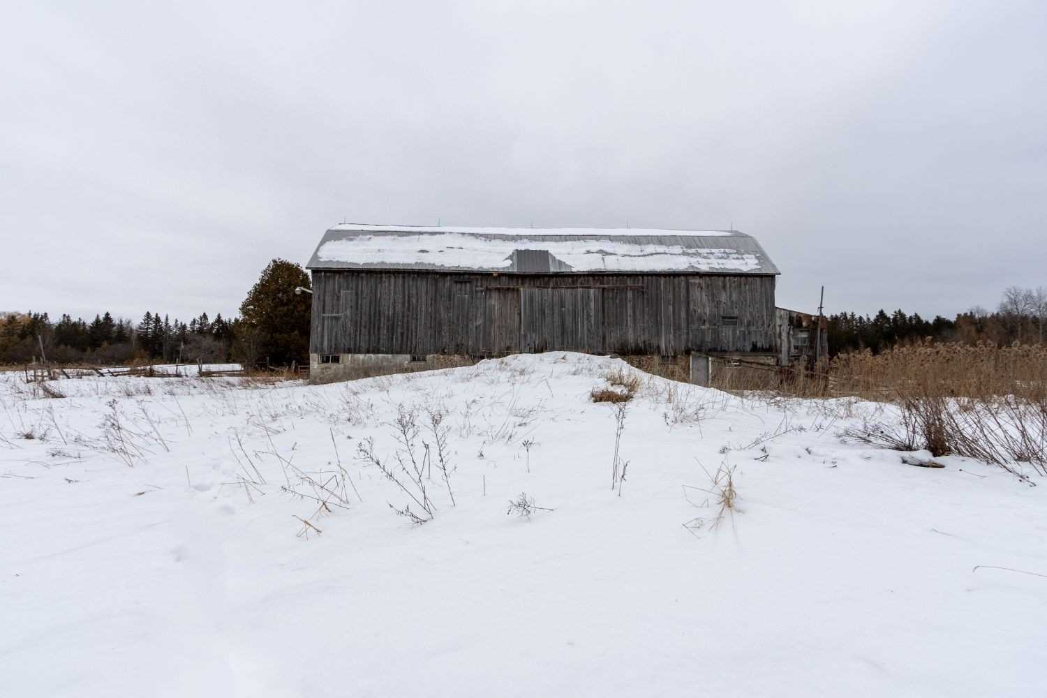 Listing E5900255 - Large Photo # 11