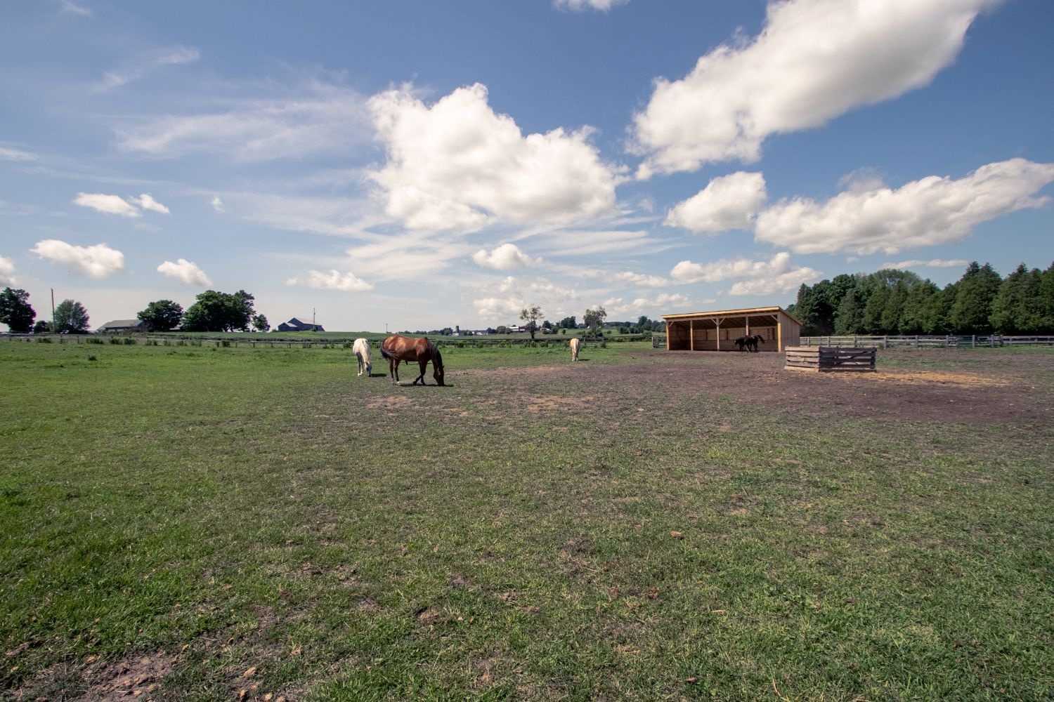 Listing E5915035 - Large Photo # 34