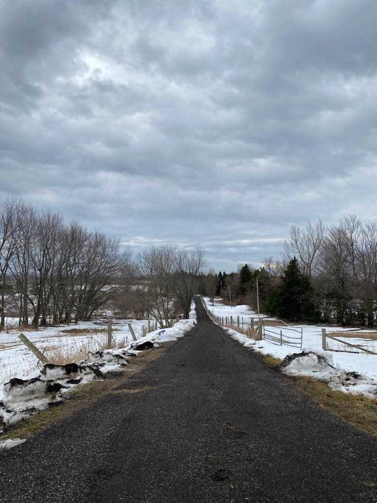 Listing E5916129 - Large Photo # 34