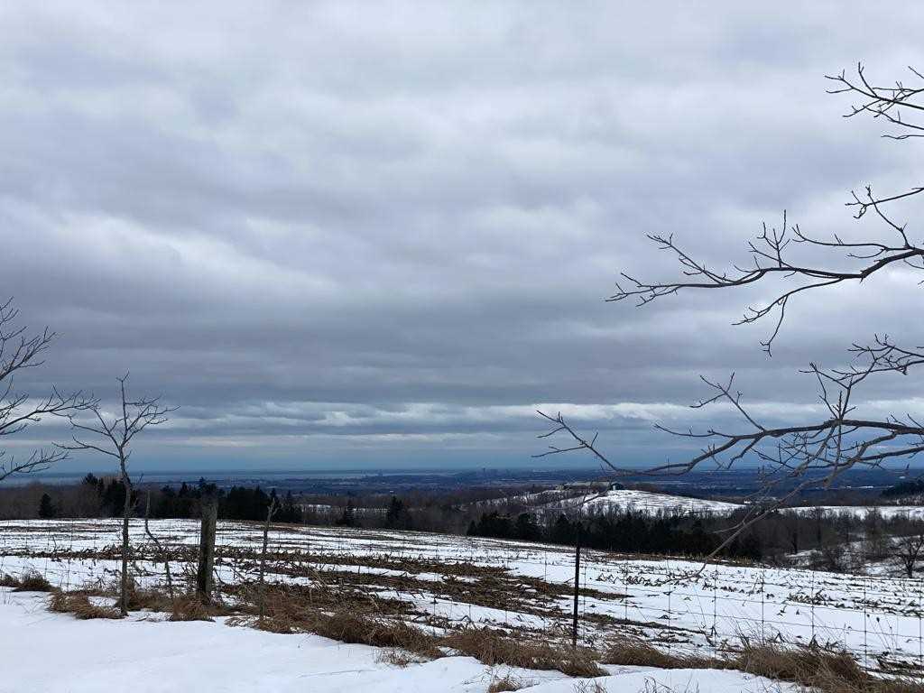 Listing E5916129 - Large Photo # 32