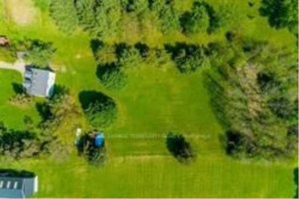 7411 Cochrane St N, Whitby