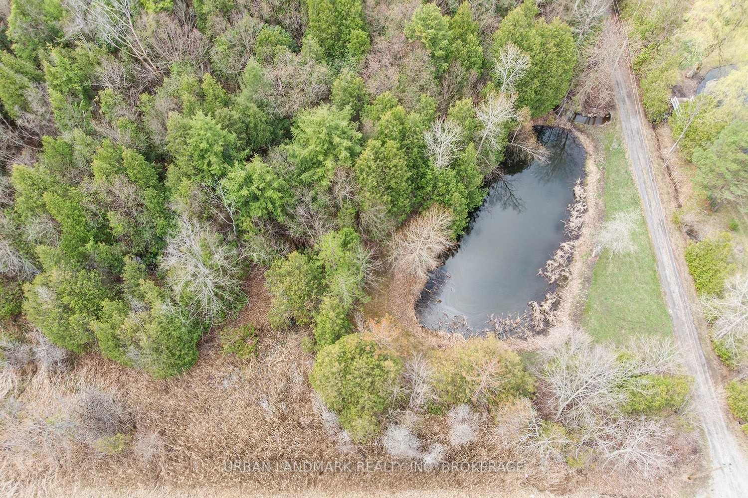 Listing E5961605 - Large Photo # 19