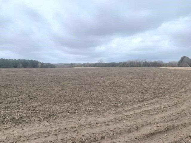 Listing E5969111 - Large Photo # 4