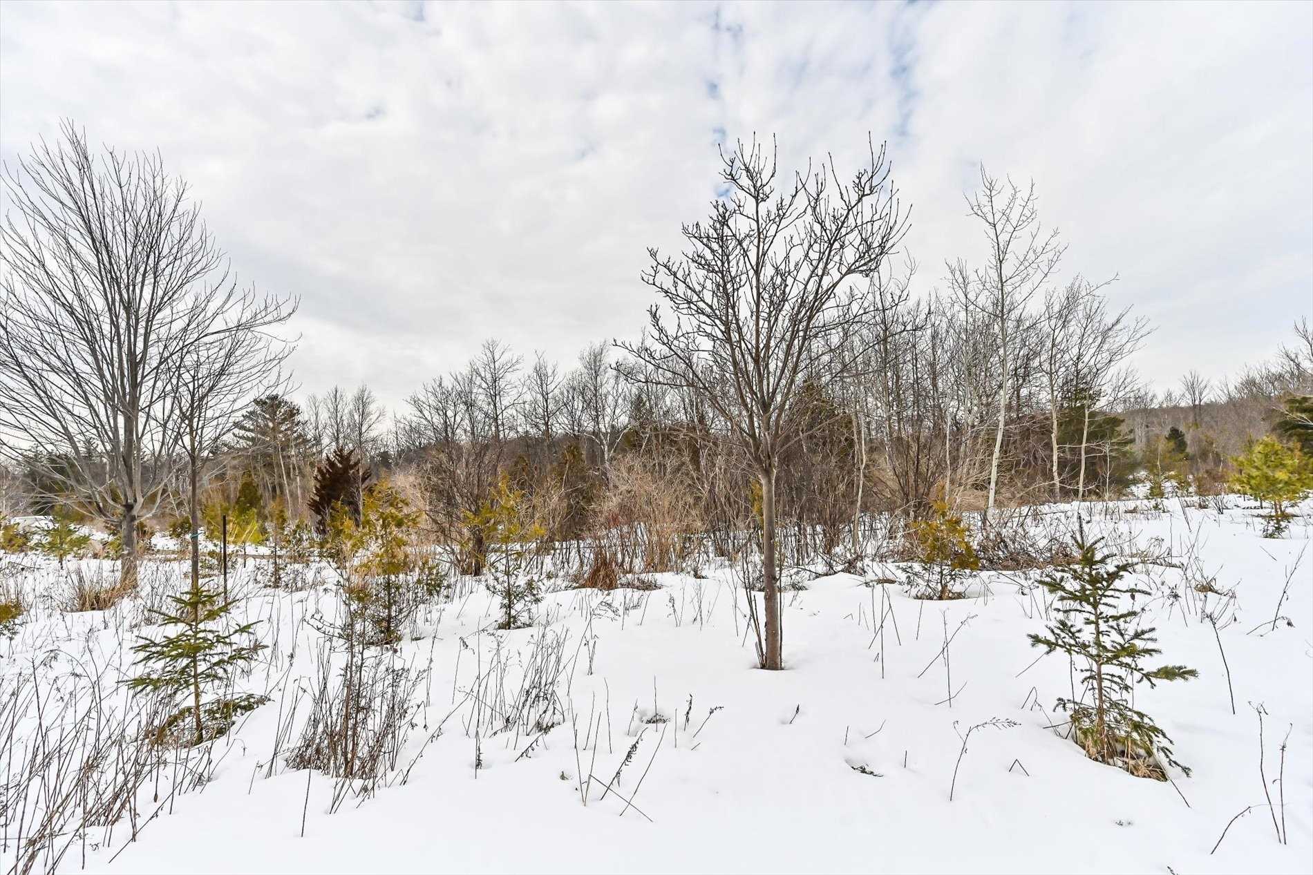 Listing E5970873 - Large Photo # 40