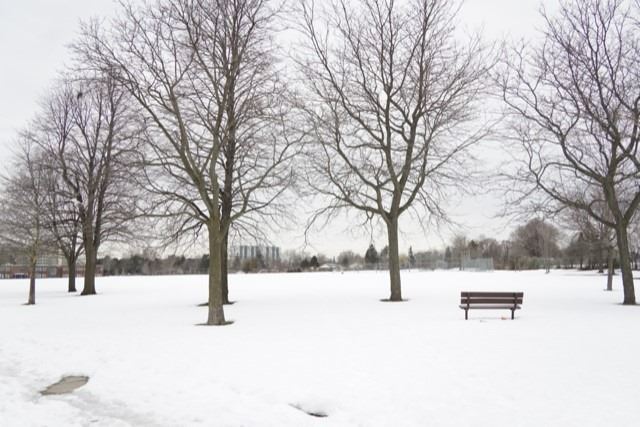 Listing E5971577 - Large Photo # 19